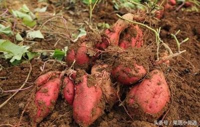 ���������Ҏ����ʲô������ʩ������ЩҪ�c��