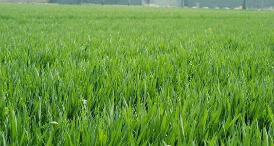 �Nֲˮ����ԓ��ʲô�r��ʩ�ʣ���ԓ����ʩ����