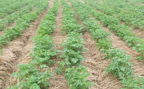 �R������ú��Ȼ���ô��ʹ�Õr��Ҫע��ʲô��