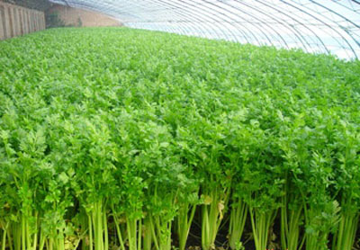 �۲�����ʩ�ʲ��ܮa���ߡ�Ʒ�|�ѣ�ӛס�@���c��