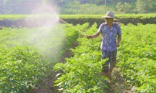 ��(f��)�Ϸ��c������Ă�(g��)���^�ã�ɶ�����m�Ͼ���ጷʣ�