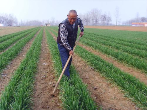 �����u���� ���(y��ng)ԓֹͣ��Щ�r(n��ng)�£�