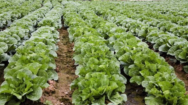 ����������߮a(ch��n)��ʩ�á����ʡ����P(gu��n)�I��