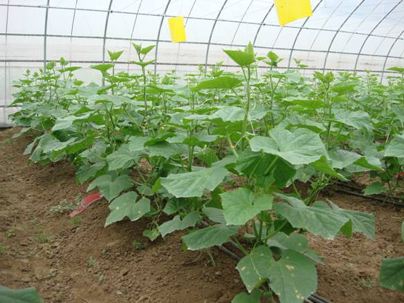 ������νo��˺����a(b��)�⣿��������a(b��)���ʩ��