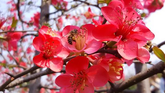 ���đ�ԓ���ʩ�ʣ�ʩ�ʕr��Ҫע��ʲô��