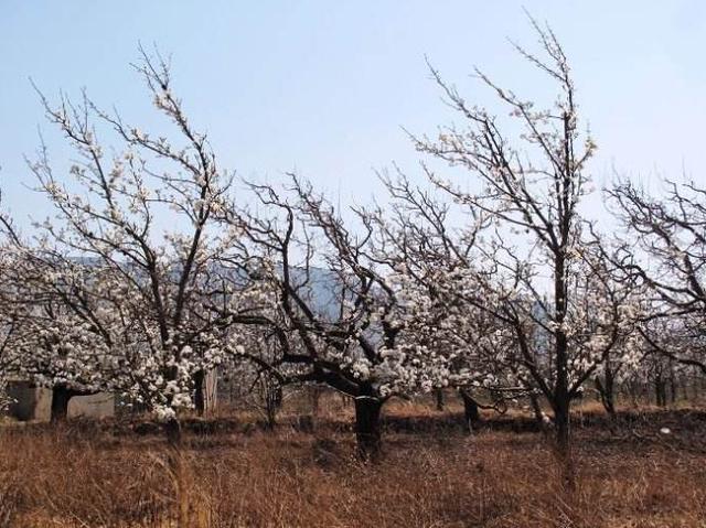 �_ʩ���Ў׷N��ͣ��_ʩ��ʹ��ע�����