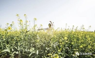 �Ͳ���Ҫ�߮a��ԓ���ʩ�ʣ��Ͳ�ʩ�ʼ��g��