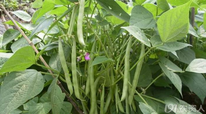 ������Ҫ�߮a��ԓ���ʩ���������߮aʩ�ʼ��g��