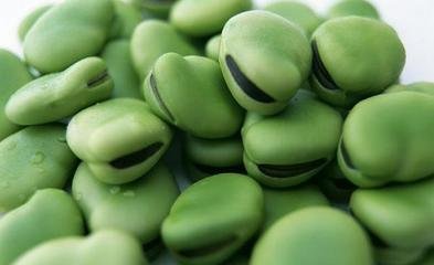 �Q���Nֲ�^���О�ʲô��ȱ���ԭ����ʲô��