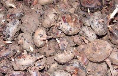 �Nֲݩ�j��ԓ���ʩ�ʣ�ݩ�jʩ�ʼ��g��