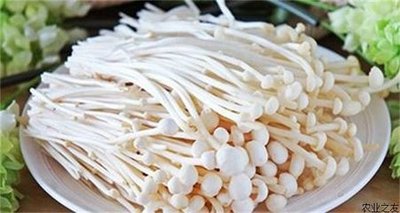 ��ᘹ������ڷ�ˮ��ԓ��ι�������Ҫע��ʲô��