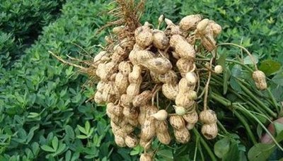 ������(y��ng)ԓ��ʲô�r(sh��)��׷�ʣ���(y��ng)ԓ���׷�ʣ�