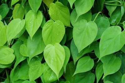 ���~�ّ�ԓ���ʩ�ʣ����~��ʩ�ʼ��g��