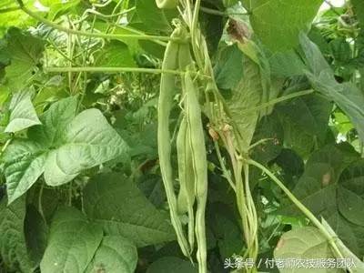 �˶������ʲô�������˶�ԓ���ʩ�ʣ�