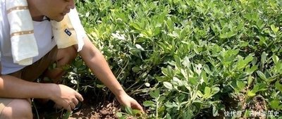 ���Ӳ�����߻����a(ch��n)�����߮a(ch��n)��������������