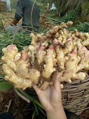 ������������c��ʲô����(y��ng)ԓ���ʩ�ʣ�