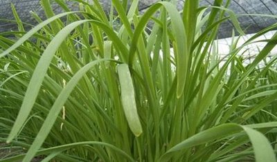 �²˵����Ҏ(gu��)����ʲô����(y��ng)ԓ���ʩ�ʣ�