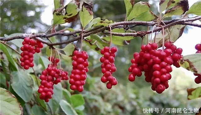 ��ζ����Ҫ���a��ԓ���ʩ�ʣ�ӛס�@���c��