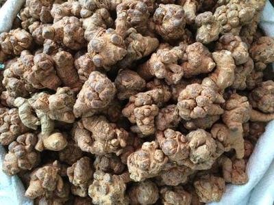 ���ߵ����Ҏ(gu��)����ʲô����(y��ng)ԓ���ʩ�ʣ�