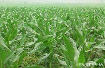 ����׷ʩ���ʑ�(y��ng)ԓ��ô������Ҫע��ʲô��