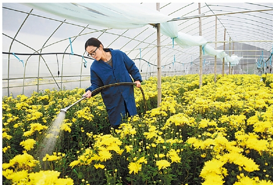 �Nֲ�ջ���(y��ng)ԓʩʲô�ʣ���Ҫע��ʲô��