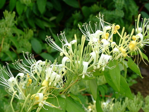 ���y����ԓ����M��ˮ�ʹ�����ӛס�@���c��