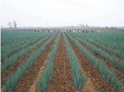 ���[��Ҫ�߮a��ԓ���ʩ�ʣ����[ʩ�ʼ��g��