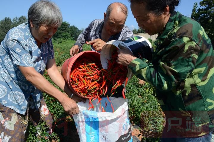 �NֲС������(y��ng)ԓ���ʩ�ʣ���Ҫע��ʲô��