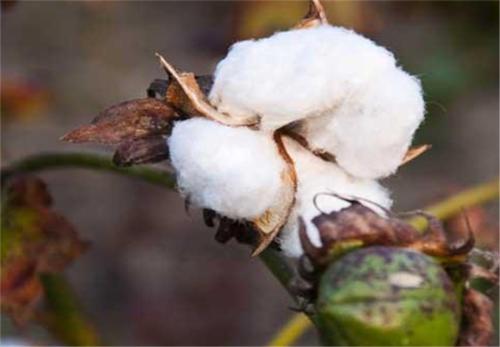 ��������޻������ʣ�����޻������ʵĴ�ʩ��