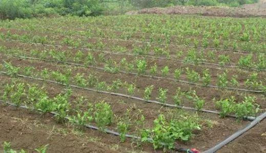 �A��������ԓ���ʩ�ʣ���Ҫע��ʲô��