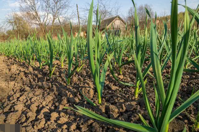 ������Ҫ�L�úÑ�ԓ���ʩ�ʣ���Ҫע��ʲô��