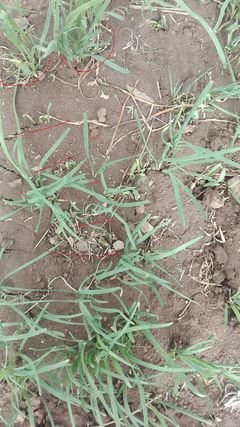 ��Ҫ���ξ�����ԓ���ʩ�ʣ���Ҫע��ʲô��