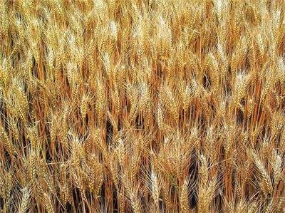 С����ԓ���ʹ���~��ʣ���Ҫע��ʲô��