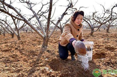 �Ә�ķNֲ�^���У���ԓ���ʩ�ʣ���ι�ˮ��