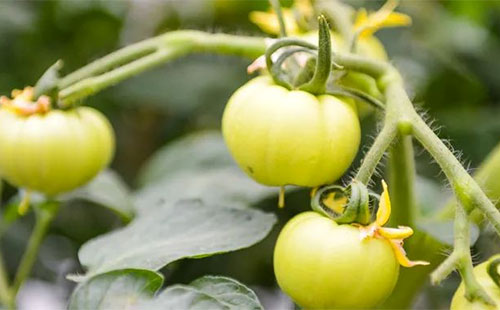 ���r�������У��N�����|���ѣ�