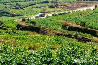 �Ͳ˻�޷�ڑ�(y��ng)ԓ���ӹ�����Ҫע����Щ���}��