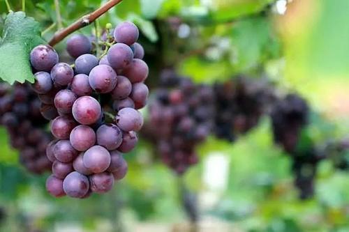 ������ʩ���ӷʵ�����ô����ԓ��ôʩ��