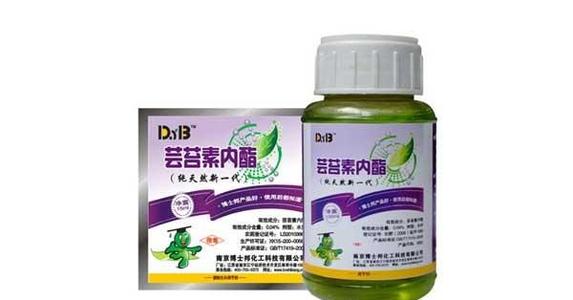 �|̦�ص�������ʲô����ԓ���ʹ����