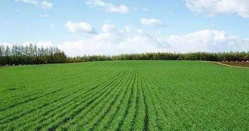 С������ʩ�ʰ˽��h