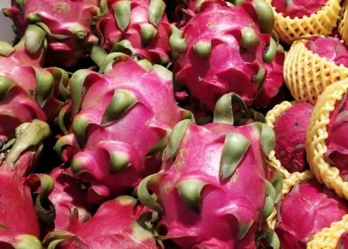 ������������ԓ���ʩ�ʣ�ʲô�r��ʩ��