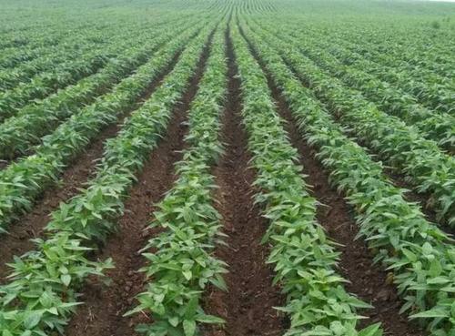 �Ĵ���Ҫ�߮a��ԓ���ʩ�ʣ�ӛס�@���c��