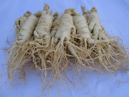 ���������߮a�������󅢸߮a���༼�g��