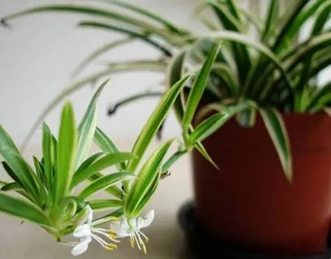 �Nֲ���@��ԓ���ʩ�ʣ���Ҫע��ʲô��