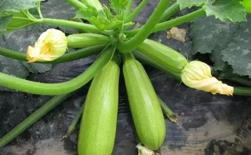 �����J��Ҫ�߮a��ԓ���ʩ�ʣ�ӛס�@���c��