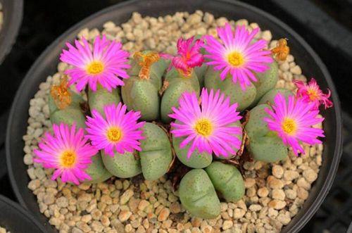 ��ʯ����ԓ���ʩ�ʣ���Ҫע��ʲô��