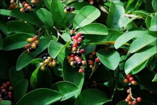 ��ζ����Ҫ���a��ԓ���ʩ�ʣ�ӛס�@���c��