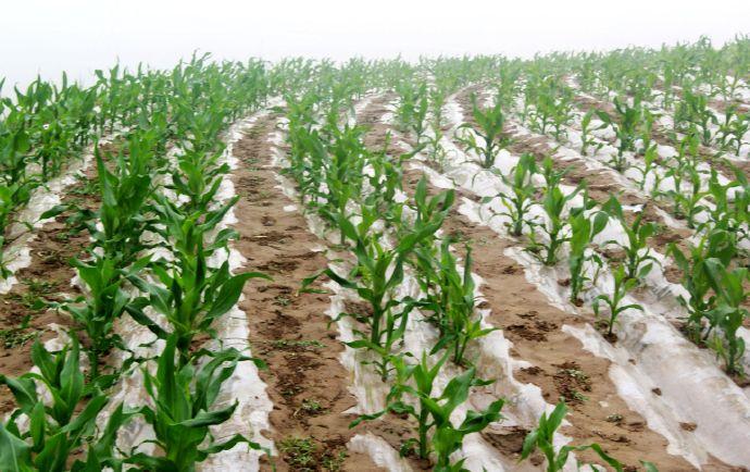 ��Ĥ���ב�ԓ���׷�ʣ���Ҫע��ʲô��