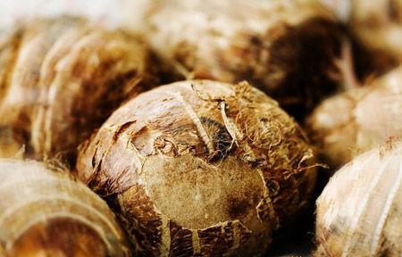 �o�������^�������ࣿ��ηNֲ����ʹ���^�_���߮a(ch��n)��