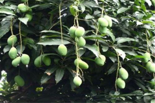 �绨â������ι�����â�����绨ԓ��ô�k��