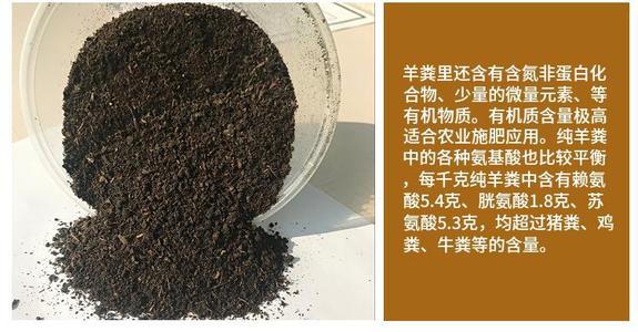 �l(f��)���u�S����S�Ă�(g��)�ã���һ����ô��